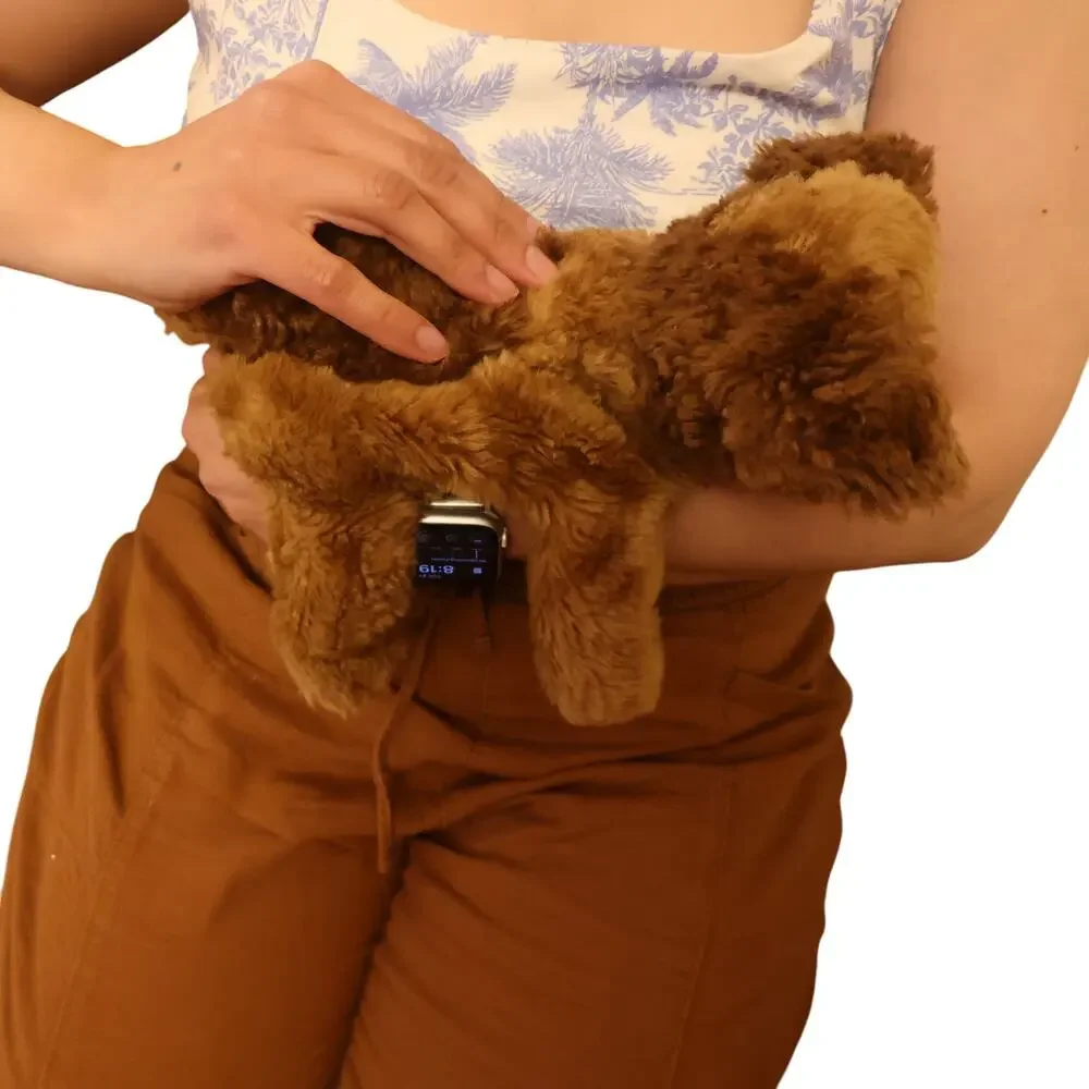 Vintage 1996 TY Classic Chips Brown Puppy Dog Plush Floppy 18